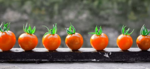5 key lessons learned from the Pomodoro technique