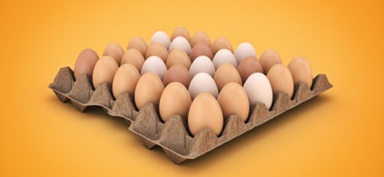 Tray of assorted brown and white eggs arranged in rows on a cardboard egg carton, set against a solid orange background.