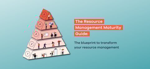Optimizing Resource Management for Professional Services Firms