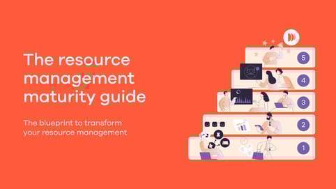 Resource Management Maturity Guide
