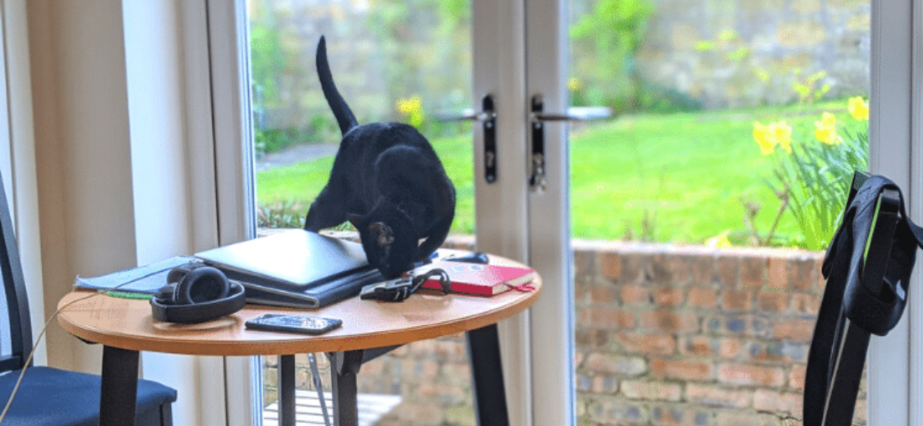 5 tips to make working from home work for you